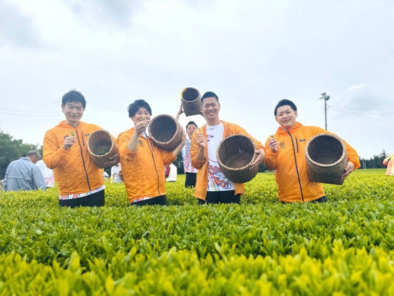 【農業×中小企業プロジェクト】菊川市茶業協会さまと共催で茶摘みイベントを開催しました！