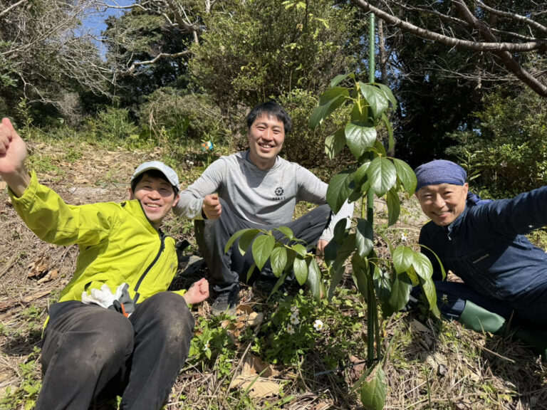 自然と共に育てるー屋久島自然農で感じたこと